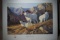 Ruger Print Fossil Creek Rams by Dave Wade 180/950