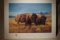 Ruger Print The Survivors by Larry Wolffe 180/950