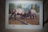 Ruger Print Alpine Arena Elk Fighting by Lee Cable 181/950