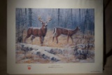 Ruger Print First Snow Deer by Gary W 181/950