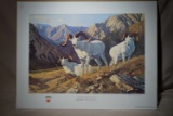 Ruger Print Fossil Creek Rams by Dave Wade 181/950