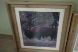 Bison (“Buffalo”) Bull - South Dakota Tourism Photograph