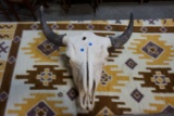 Buffalo Skull