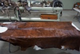 Longhorn Cowhide