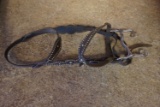 Bridle and Bit