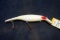 Big white colored with red musky lure