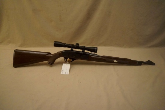 Remington Nylon 66 .22 Semi-auto Rifle