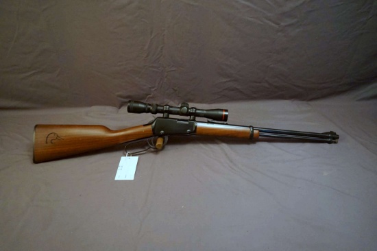 Henry .22 L/A Rifle