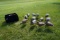 Dozen Avian X Full Body Mallard Decoys