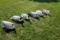 6 Avian X Full Body Goose Decoys