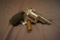 Ruger Redhawk .45LC Revolver