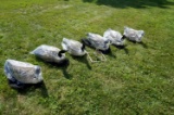 6 Avian X Full Body Goose Decoys