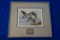 1986 Framed Waterfowl Stamp By John Green