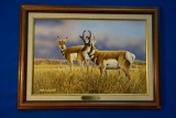 Antelope' Acrylic on Masonite by Mark Anderson