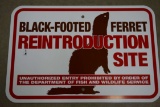 Black Footed Ferret Reintroduction Site