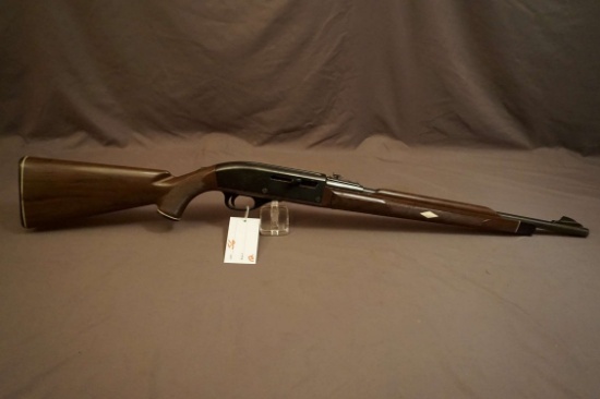 Remington Nylon 66 .22 Semi-auto Rifle
