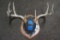 Deer Rack Mount