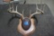 Deer Rack Mount