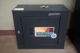 Sentry Pistol Cabinet