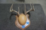 Deer Rack Mount