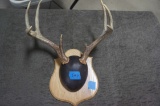 Deer Rack Mount