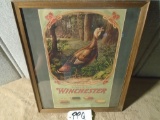 Winchester Advertising Cock of the Woods – Approximately 15” X 18”