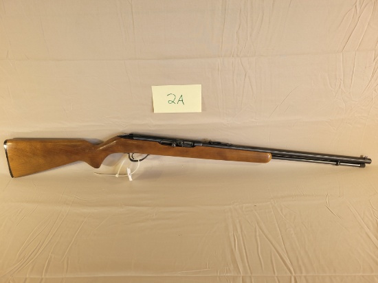 Springfield/Savage .22 187J
