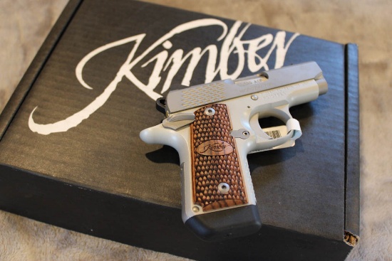 Kimber Micro Raptor SS 380 ACP