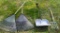 Lot of Long-Handled Lawn and Garden Tools