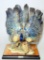 Giuseppe Armani Figurine, Great Argus Pheasant, Retired, Model No. 717S