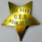 Old West Joe Reed O. E. S. Association Of San Francisco Badge