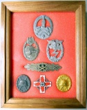 German WWII Medal / Badge Display