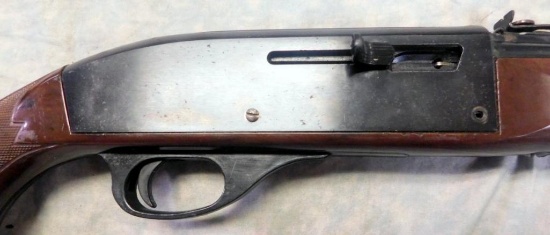 Remington Nylon 66 Semi-auto Rifle