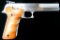 Smith & Wesson Model 2206TGT .22 Caliber Semi-auto Pistol