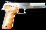 Smith & Wesson Model 2206TGT .22 Caliber Semi-auto Pistol