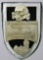 Waffen SS 1934 Wintertag Tinnie Badge, German WWII