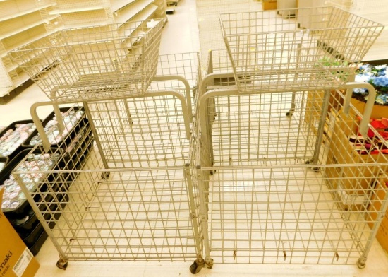 Wire Mobile Display Dump Bins with Elevated Baskets, 2 Units