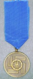 Waffen SS 8-Year Long Service Decoration