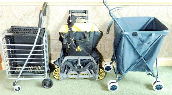 3 Portable Utility and Shopping Carts