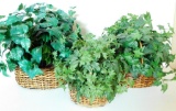 Three Faux Ivy Plants in Baskets