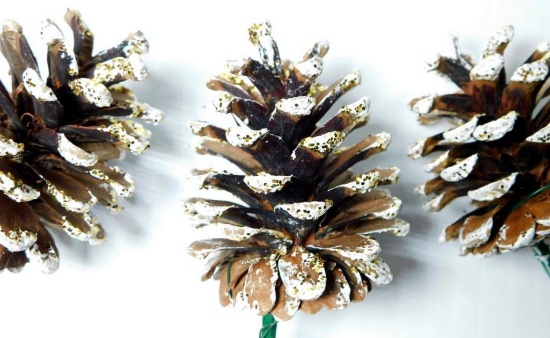 Decorative Pinecones for Arrangements