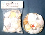 Decorative Seashells Grouping, 40 Units