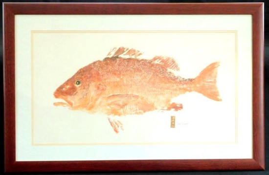 Jim Roberts Gyotaku Art Original Print "Dog Snapper," Framed, Signed