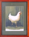 John James Hen Lithograph, 1/50