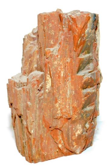 Petrified Wood