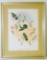 Lithograph of Hummingbirds, Framed