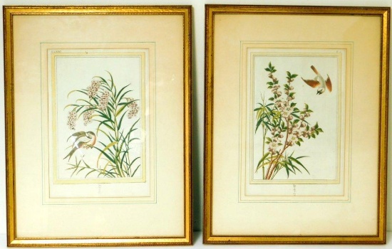 Pair of Asian Floral and Bird Framed Lithographs