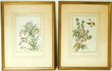 Pair of Asian Floral and Bird Framed Lithographs