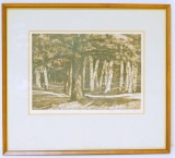 Framed White Birch Artwork