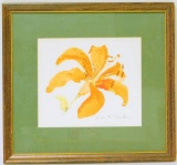 Tiger Lily Watercolor Framed, Signed Susan B. Chambers